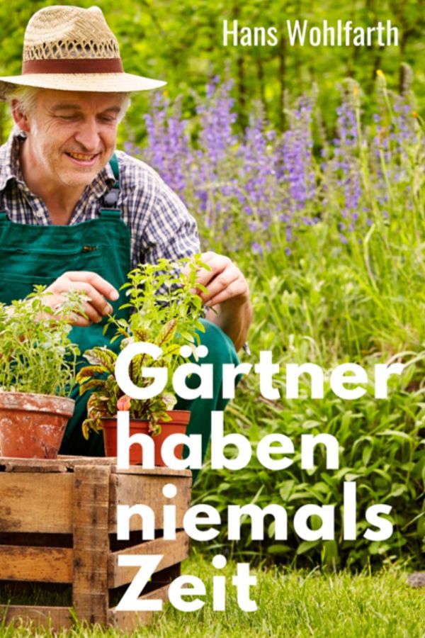 Buch Cover mit KI Ratgeber 1
